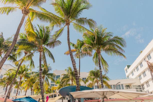 <h2>Welcome to Best Handy Miami, FL</h2>
<p>At <strong>Best Handy</strong>, we understand how frustr...